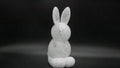 Osterhase  Transparent