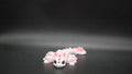 Flexi Heart Dragon