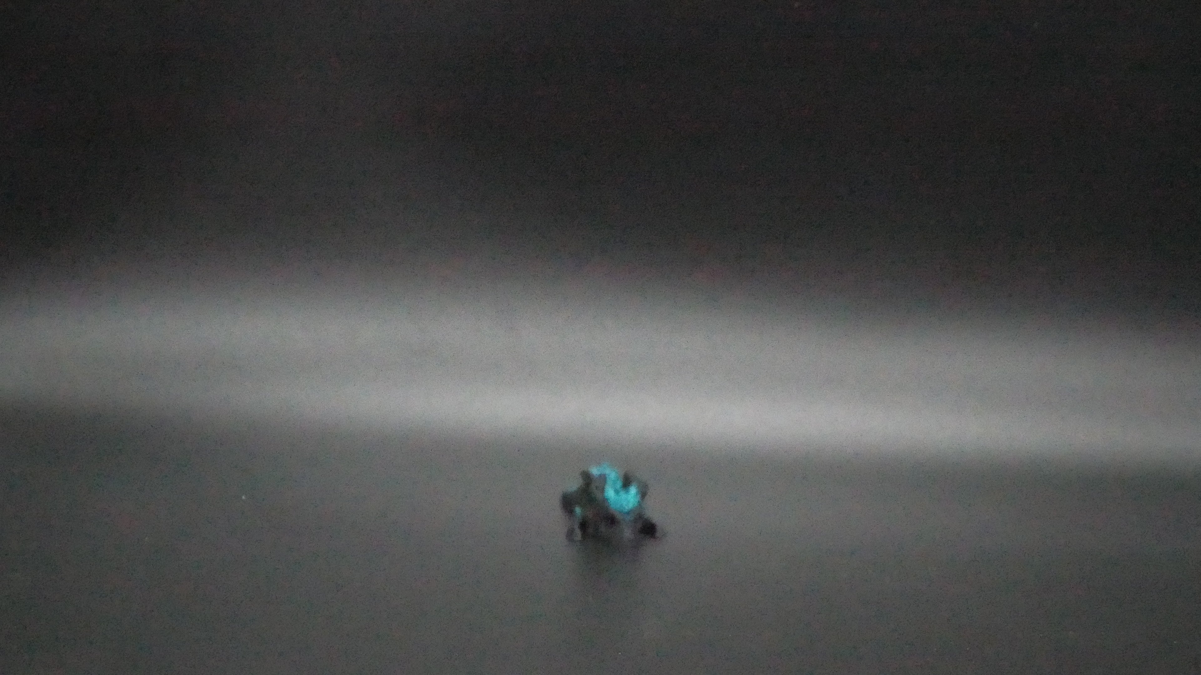 Mini Articulated Crystal Dragon