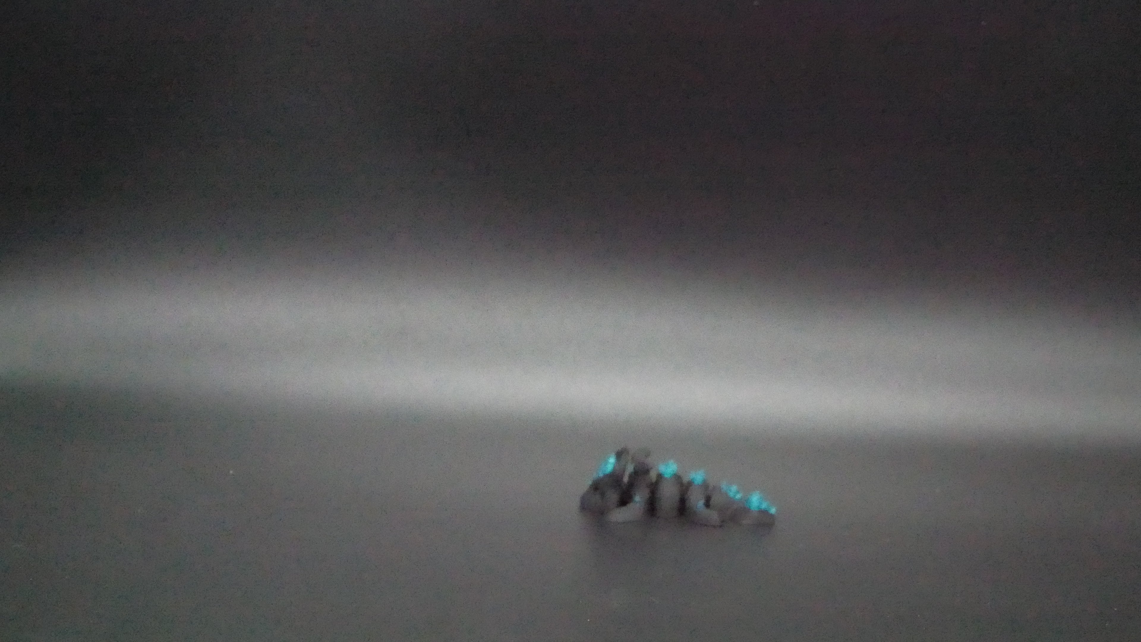 Mini Articulated Crystal Dragon